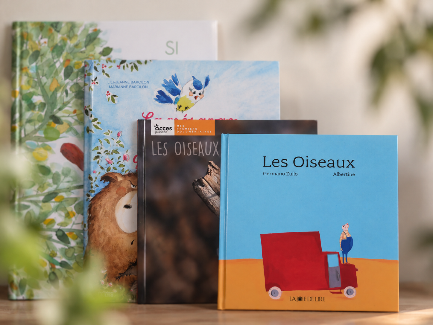 Livres illustrés autour des oiseaux