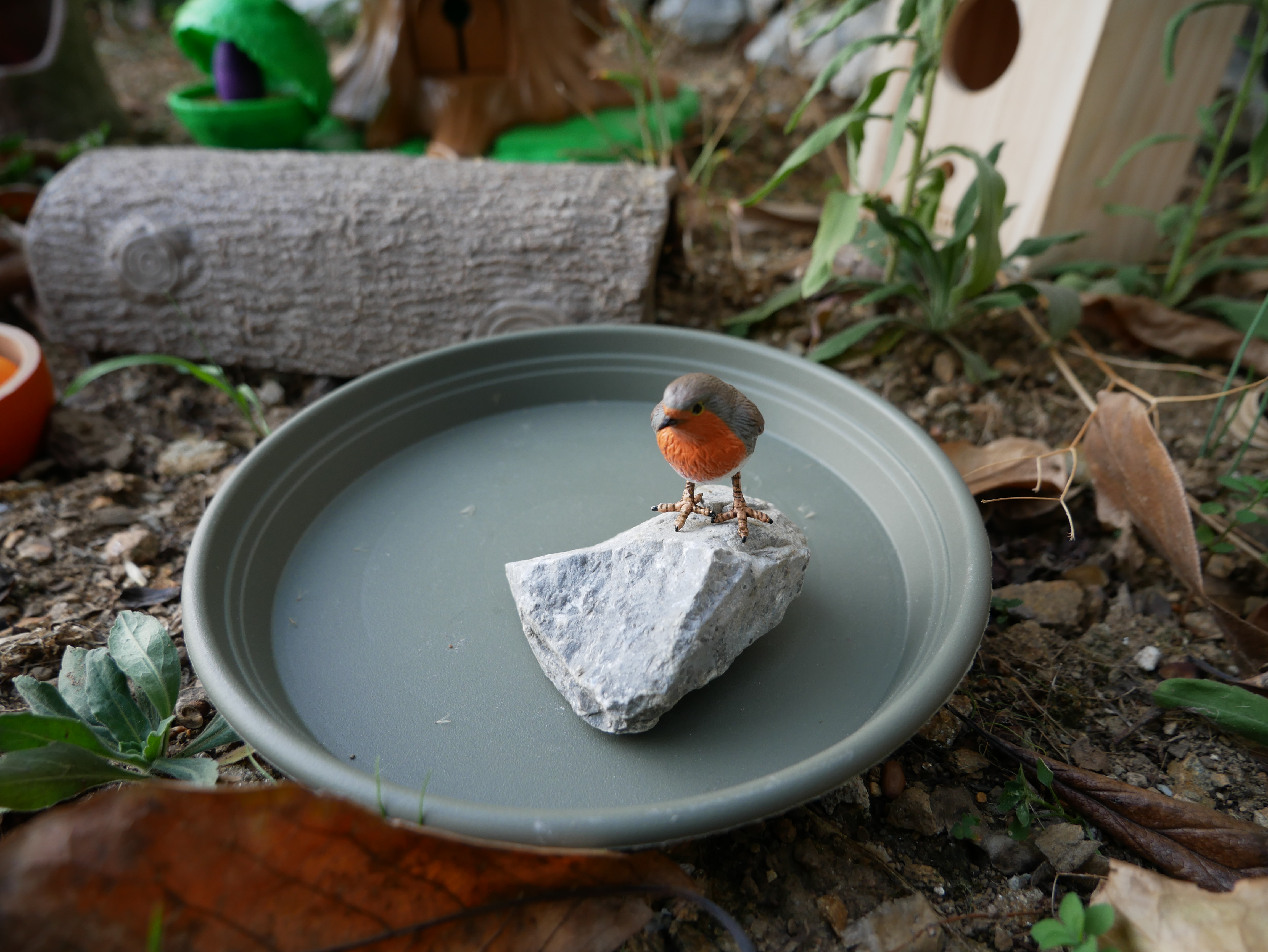 Oiseau du mini-monde de la malle pédagogique Les oiseaux